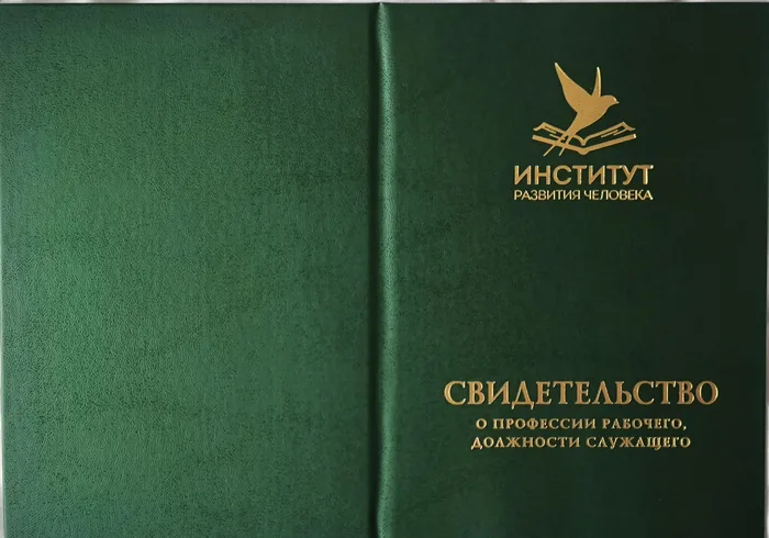 Обложка свидетельства «Института развития человека»